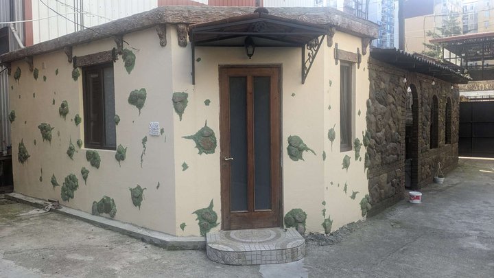 ფსიქოლოგი ანა ნემენოვა
