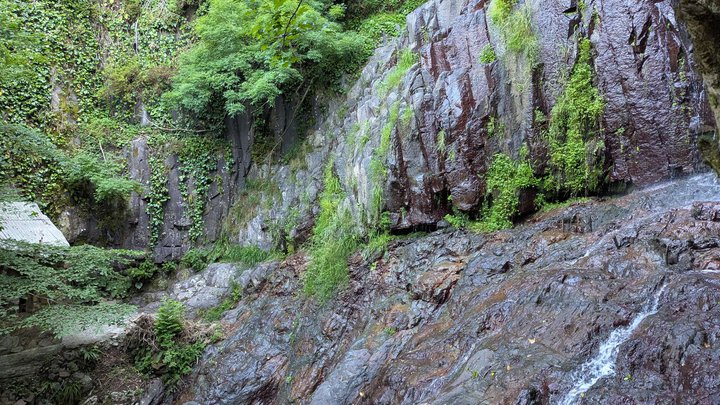 1.Kibura_019.jpg