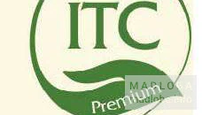 Сеть магазинов одежды "International Trade Co" логотип