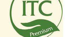 International Trade Co