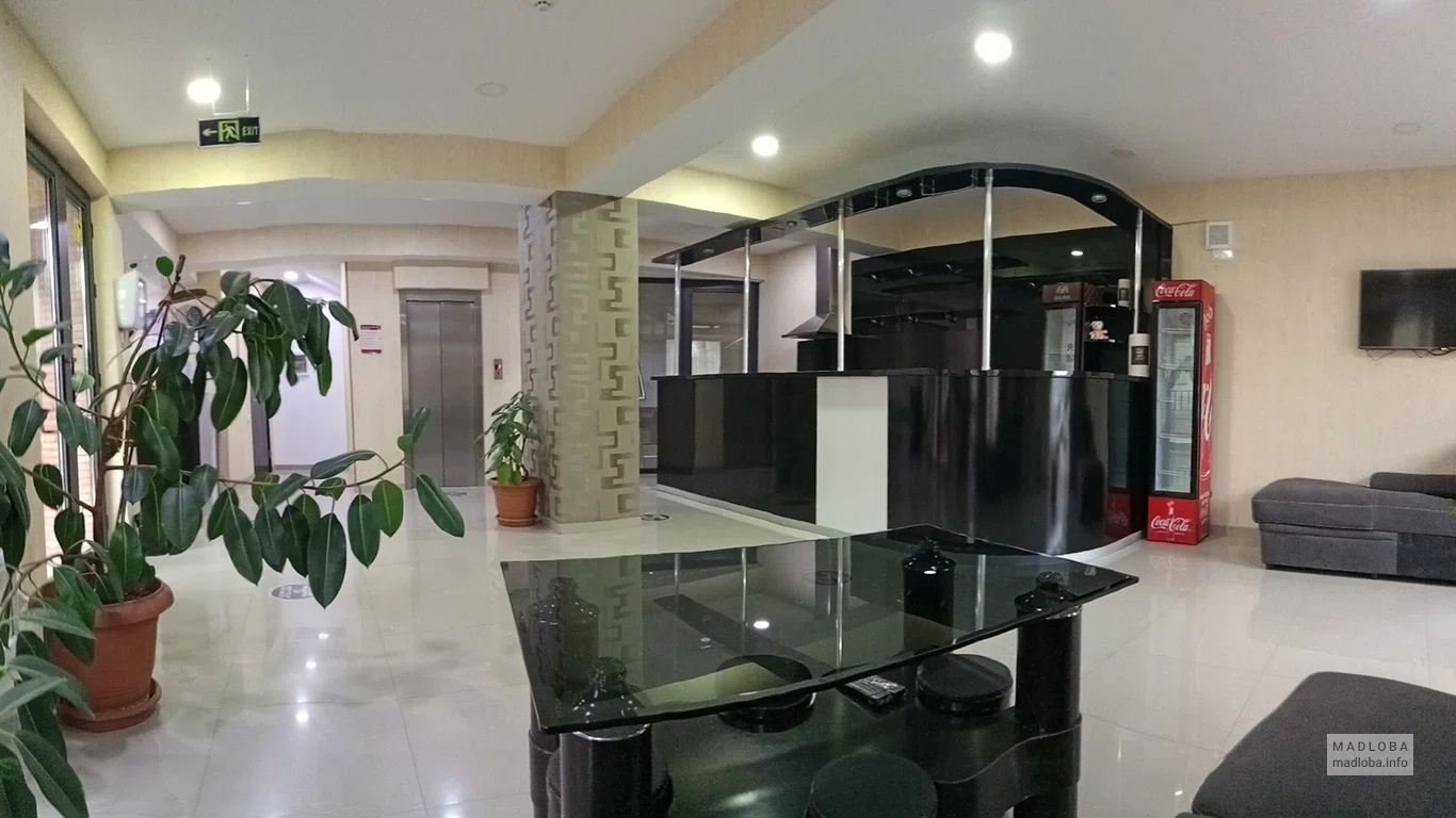 Холл Hotel Voyager в Грузии