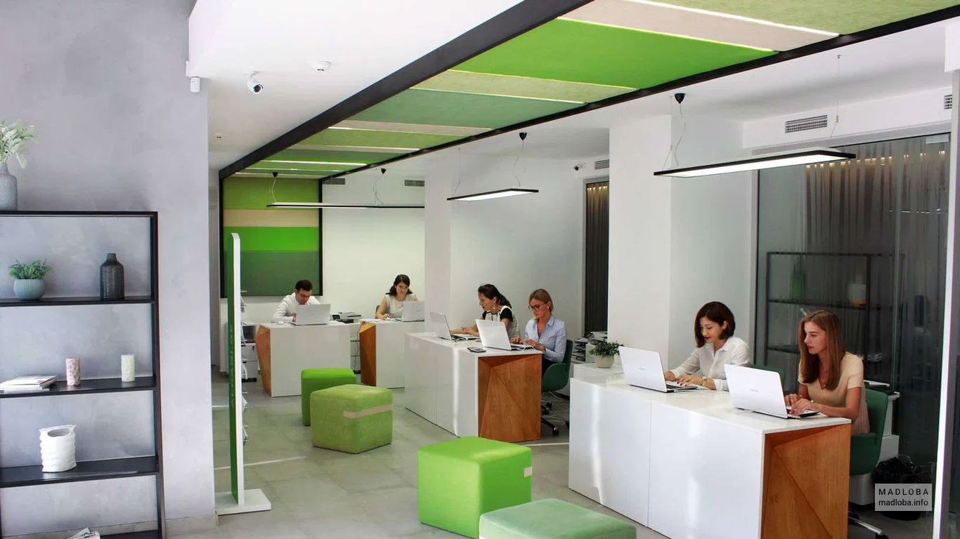 Сотрудники страховой компании "Insurance Company Aldagi Group"