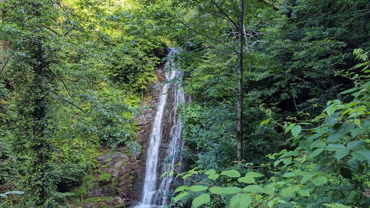Cat's Waterfall