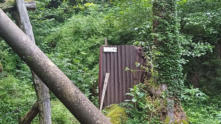 Туалет в лесу у развилки