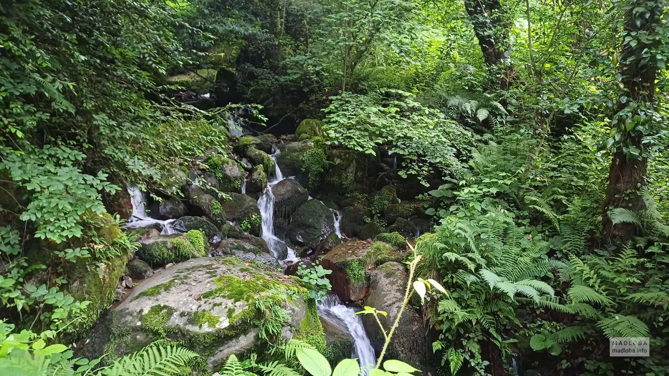 Водопады Капнистави