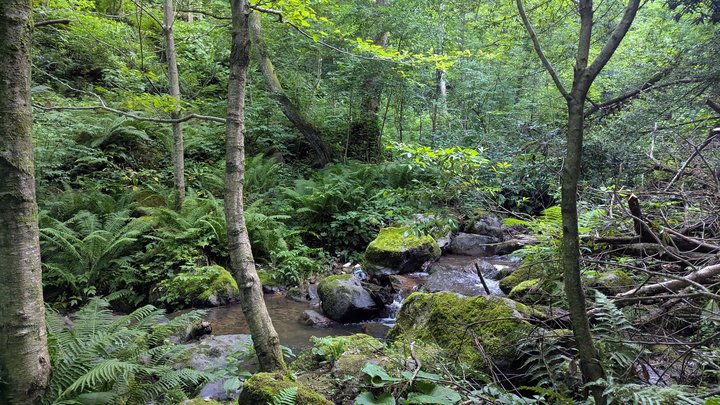 Kapnistavi Waterfall