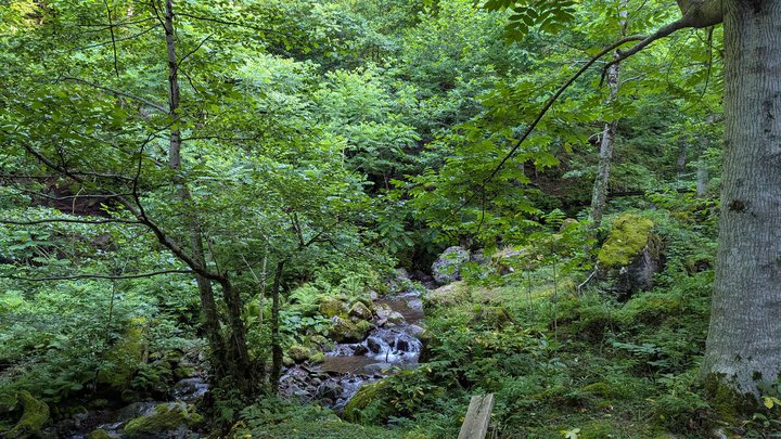 Ручьи стремящиеся вниз по камням