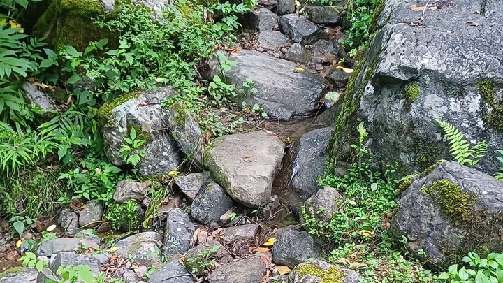 Горная речка