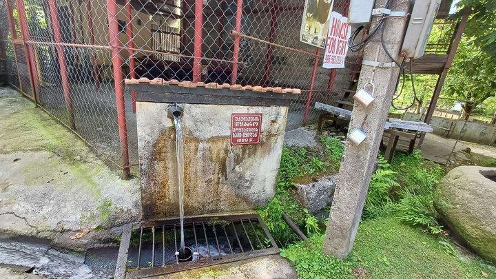 Родник с горной водой