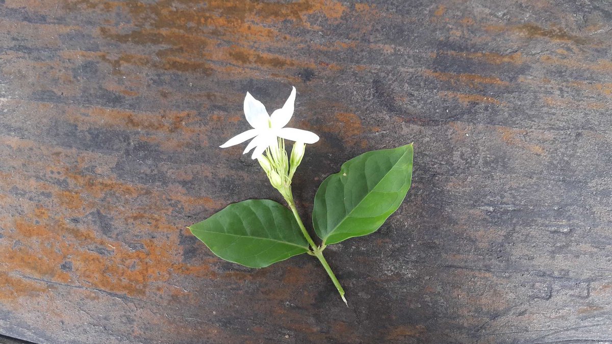 20190819_104831.jpg