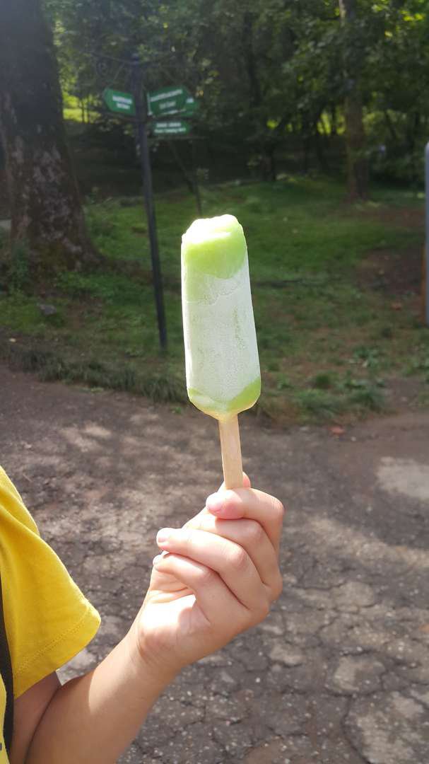 20190819_113115.jpg