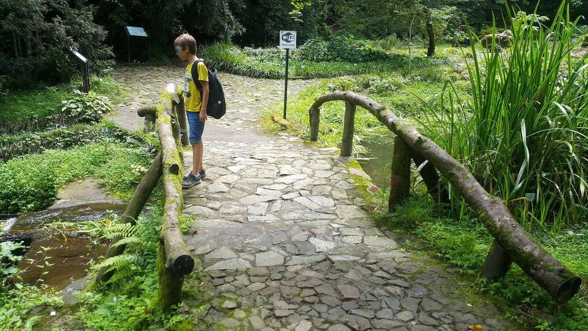 20190819_124511.jpg