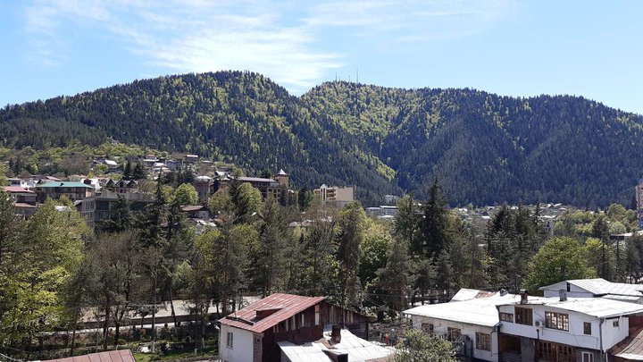ოქროს ბორჯომი