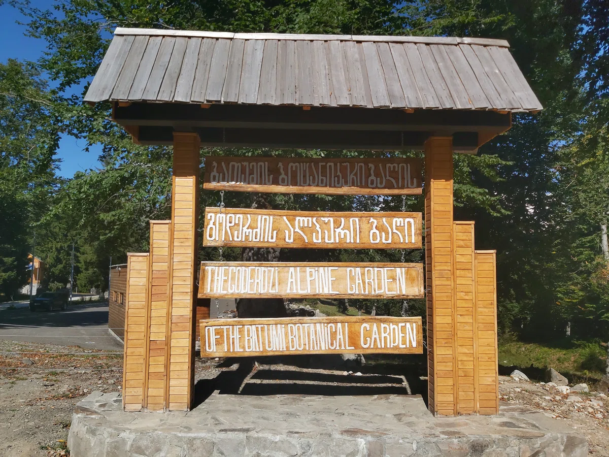 20200912_153625.jpg
