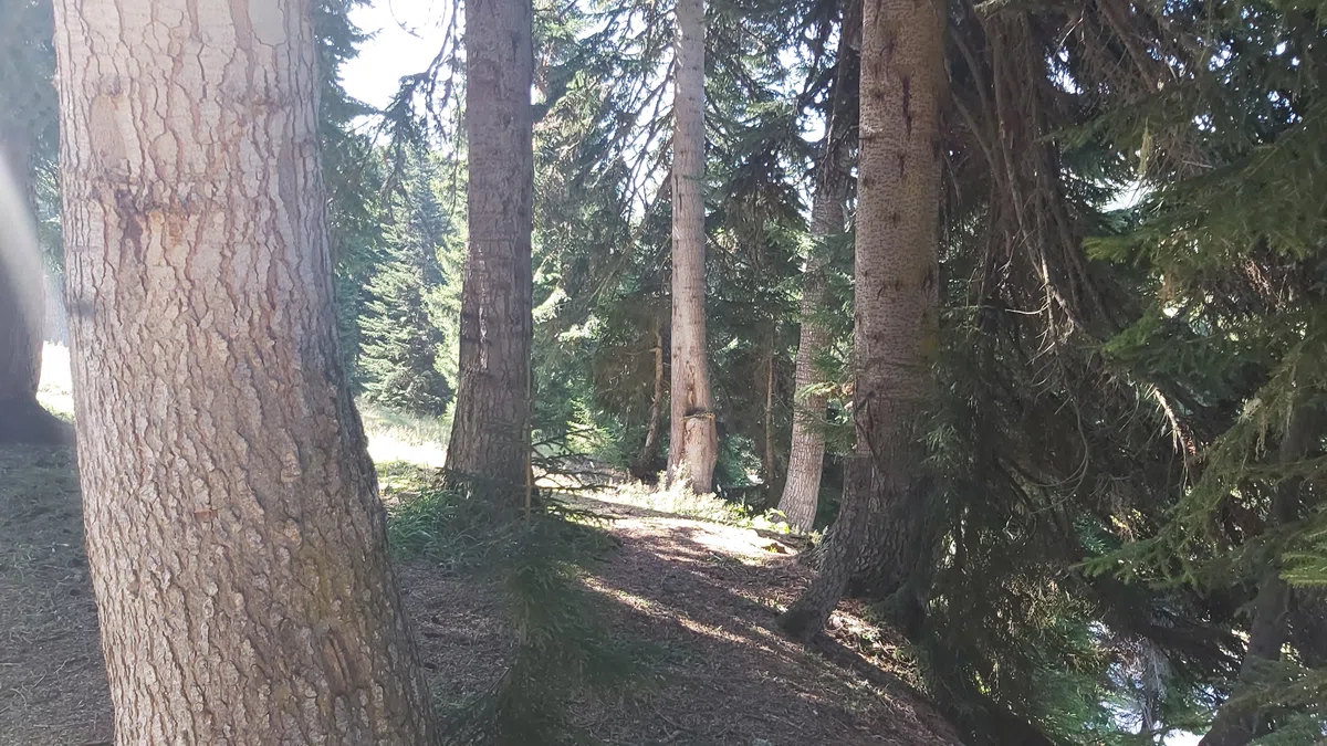 20200912_154257.jpg