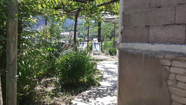 პანორამა