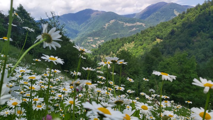 Отличный отдых в селе Гаретке. Горная Аджария