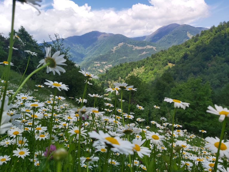 Vacation in the village of Garetke. Mountainous Adjara.