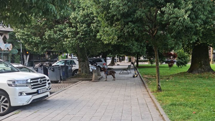 2022-08-01 07-52-49.jpg