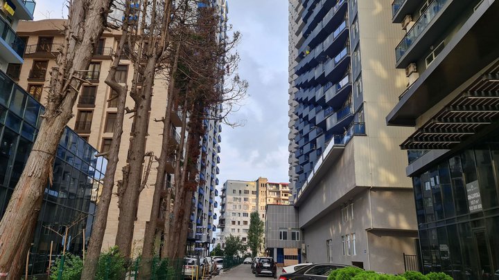 20220921_082024.jpg