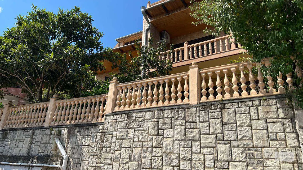 TG panorama