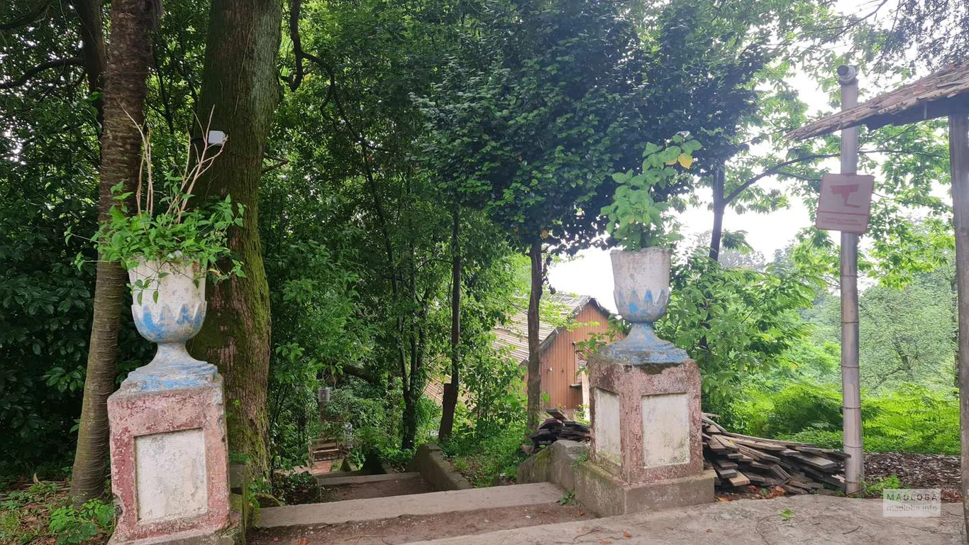 Банановая роща