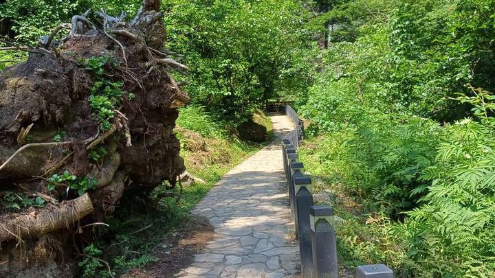 Дорога к водопаду Мирвети