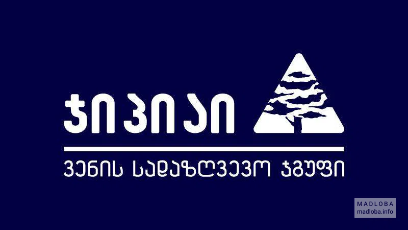 Страховая компания "Insurance Company GPI Holding" логотип