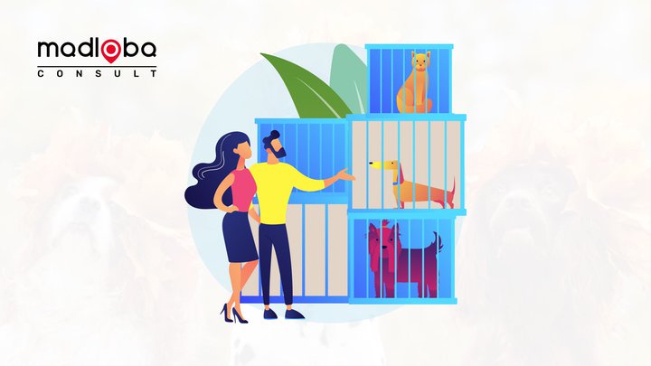 Promotion of dog and cat kennels