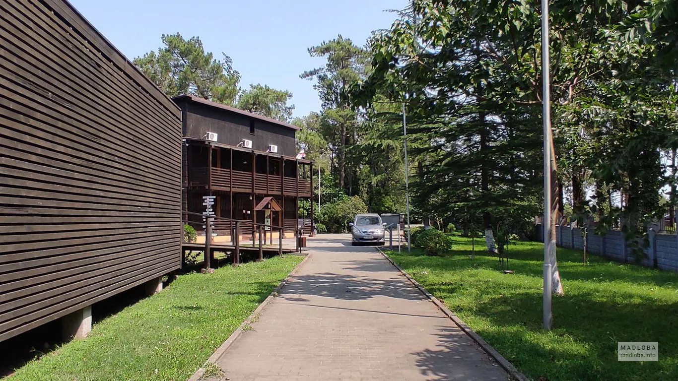 Парковка у отеля и визиторского центра в Колхидском национальном парке