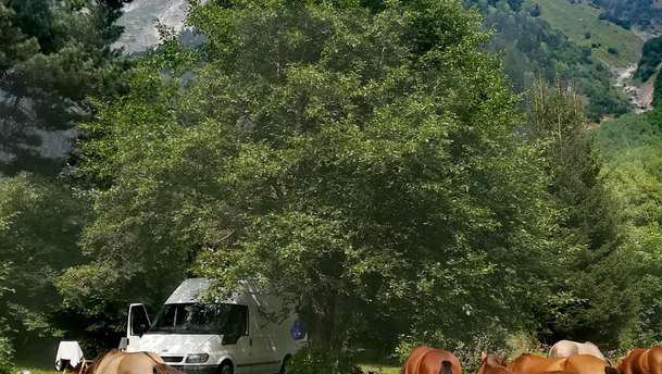 MzeGeo Motorhomes and Campervans