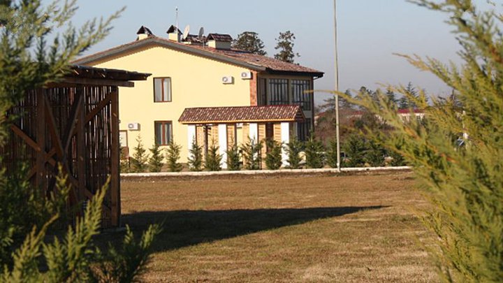 Agrigeorgia