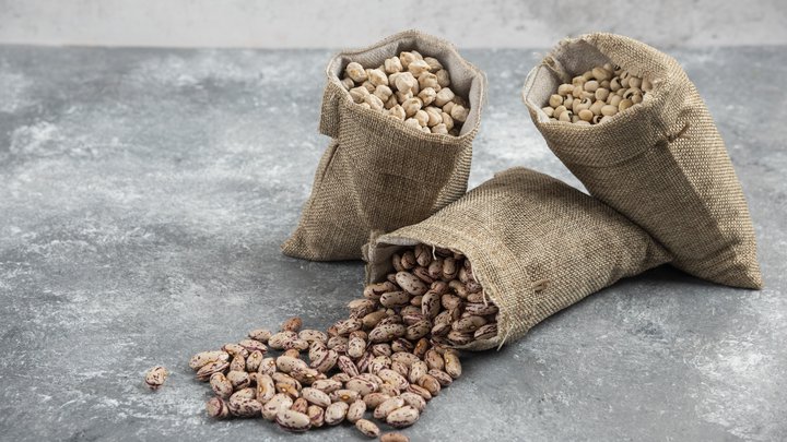 Agro Sani