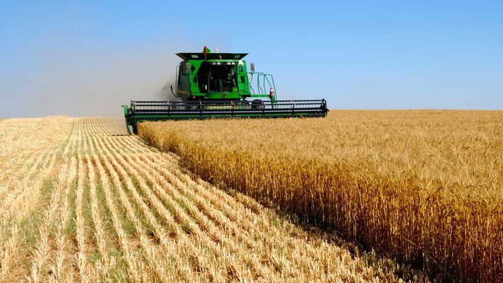 Agro Shulaveri