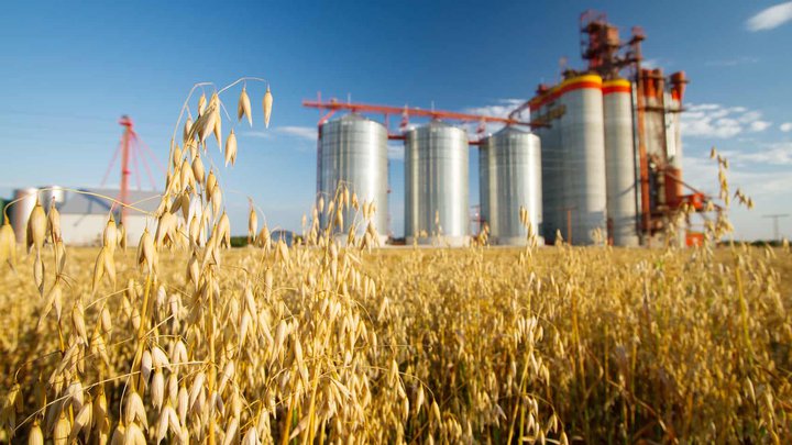 Agro Trading