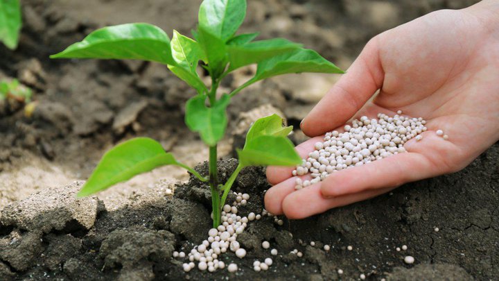 AgroGeo +