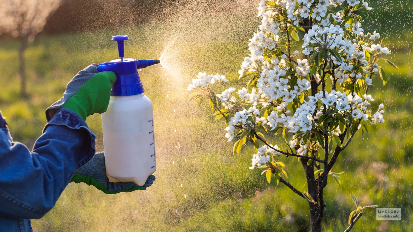 Agrochemicals