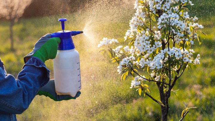 Agrochemicals