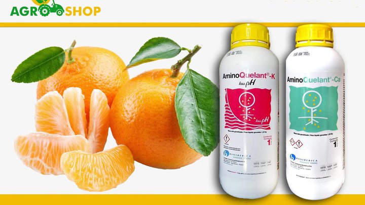 Agroshop