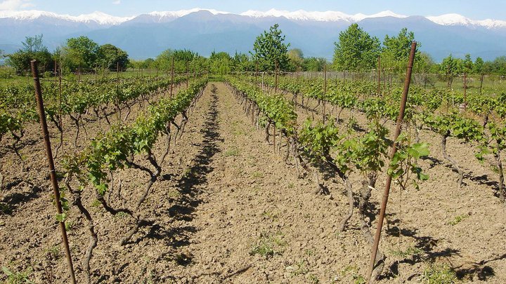Agrotechnologies