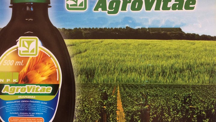 Agrovitae Didube