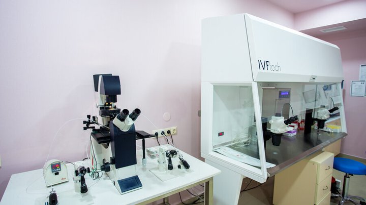 Stork Service is a surrogacy agency in Georgia