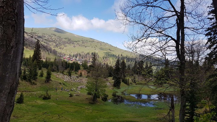 Goderdzi Alpine Garden