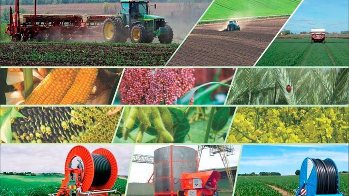 Поставщик муки, зерна и круп "Aspria Seeds Georgia"