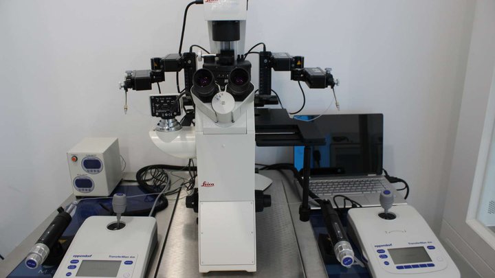 დაბადების ისრაელის ცენტრი IVF, დონაცია და სუროგაცია
