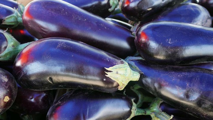 eggplants