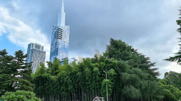 Bamboo Grove
