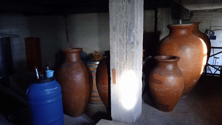 Barbale