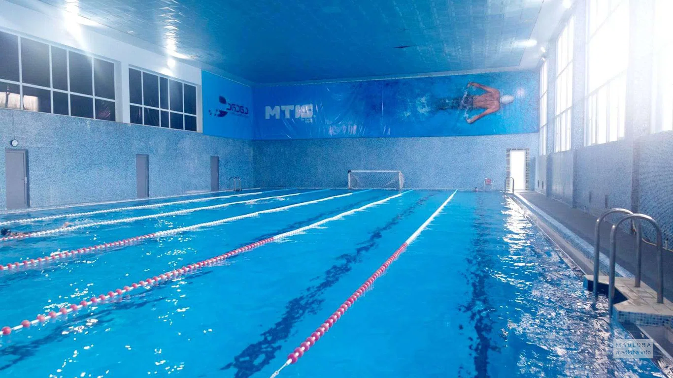 არენა