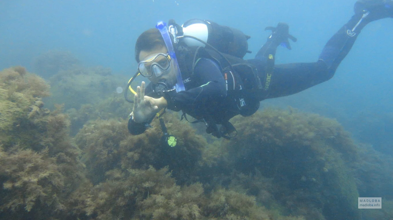 Diving Center